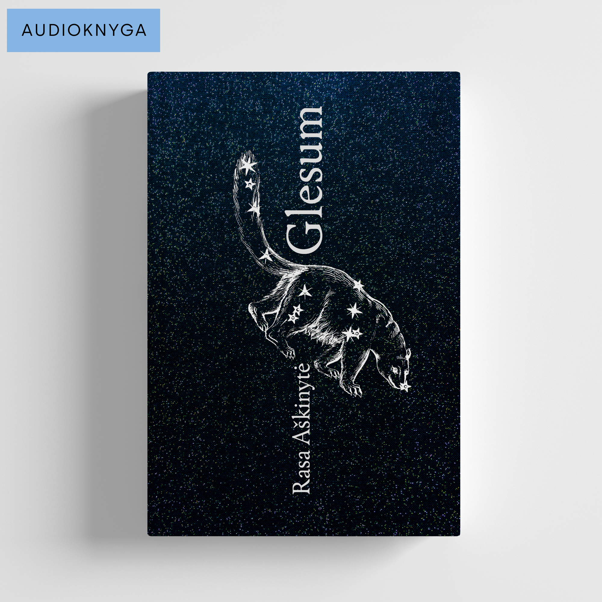 Rasos Aškinytės romano Glesum viršelį