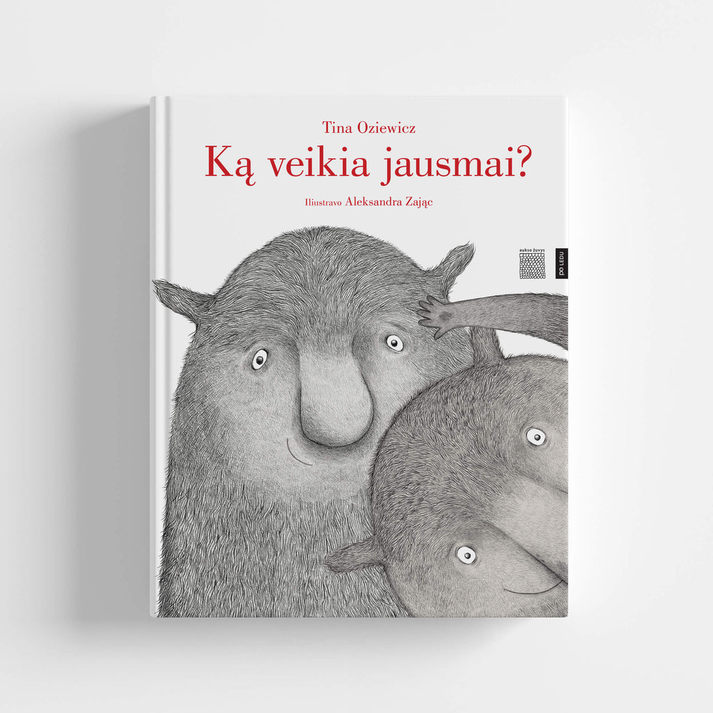 Knyga Ką veikia jausmai?