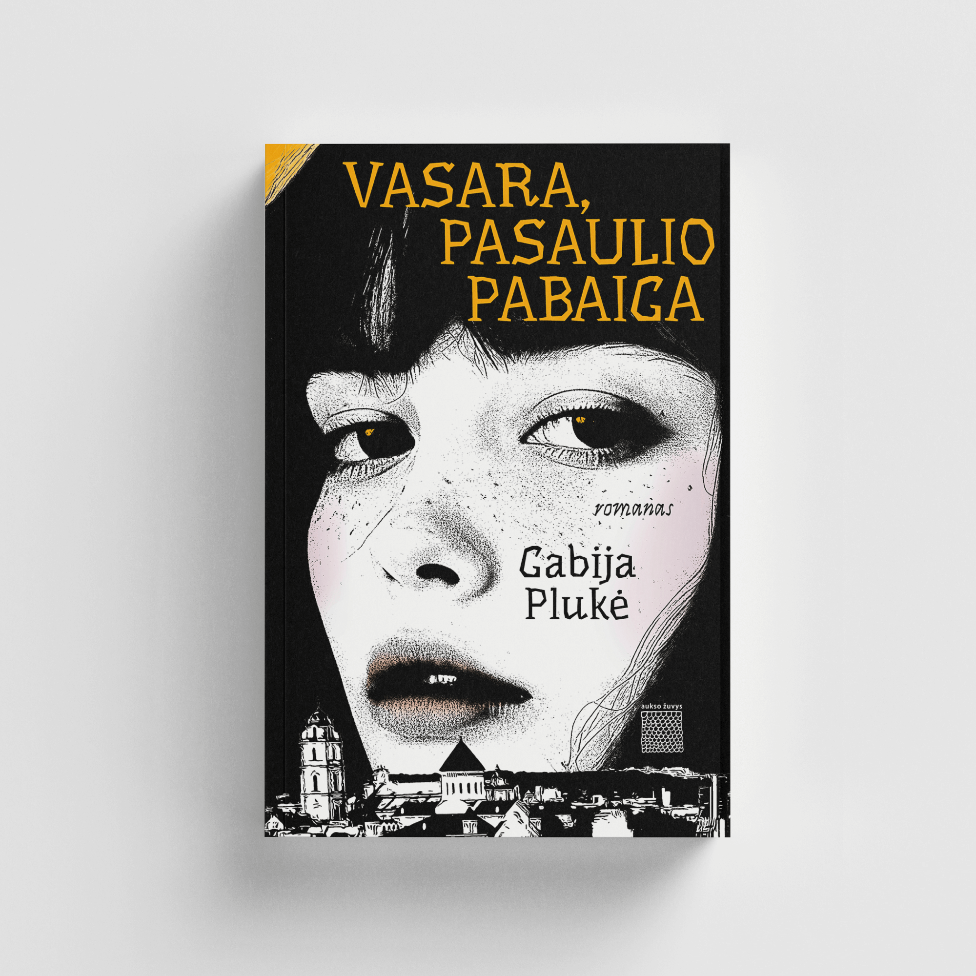 Gabijos Plukės romano Vasara, pasalio pabaiga viršelis