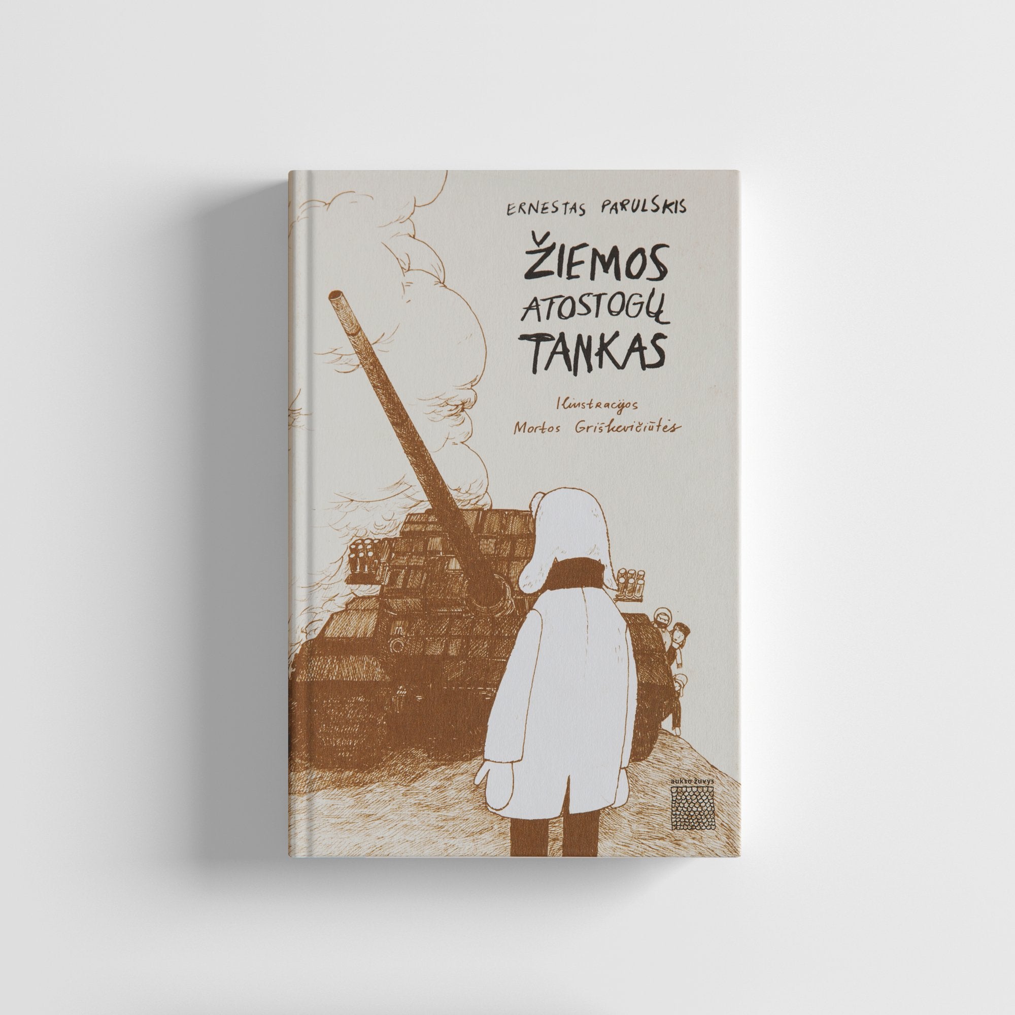 Knyga Žiemos atostogų tankas